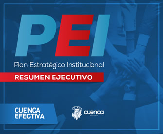 Plan Estratégico Institucional - Resumen Ejecutivo