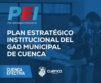 Plan Estratégico Institucional