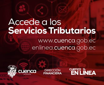Servicios Tributarios, patentes, notas de crédito, activos totales