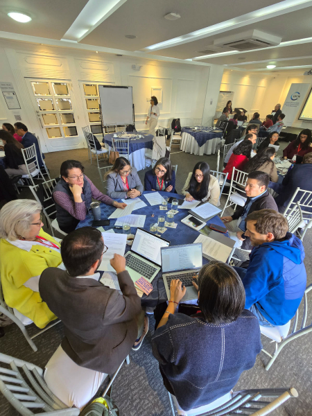 El Gobierno Autónomo Descentralizado (GAD) Municipal de Cuenca participó en el taller preparatorio rumbo a la XXVII Conferencia de las Partes de la Convención de las Naciones Unidas de Lucha contra la Desertificación (COP17), que se desarrolló con el objetivo de construir la posición regional de América Latina y el Caribe frente a este importante encuentro internacional.