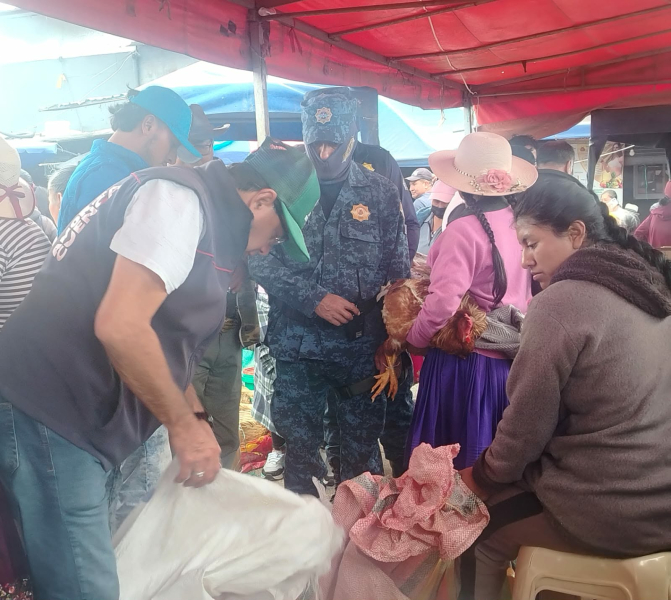 Patrulla Canina y Guardia Ciudadana decomisan 15 mascotas durante operativo de control en la Feria Libre