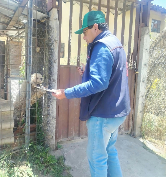 La Comisión de Gestión Ambiental (CGA), a través de la Patrulla Canina de la Unidad de Gestión Animal (UGA), recibe al mes más de 300 denuncias ciudadanas relacionadas con presuntos casos de maltrato animal o condiciones inadecuadas de cuidado.