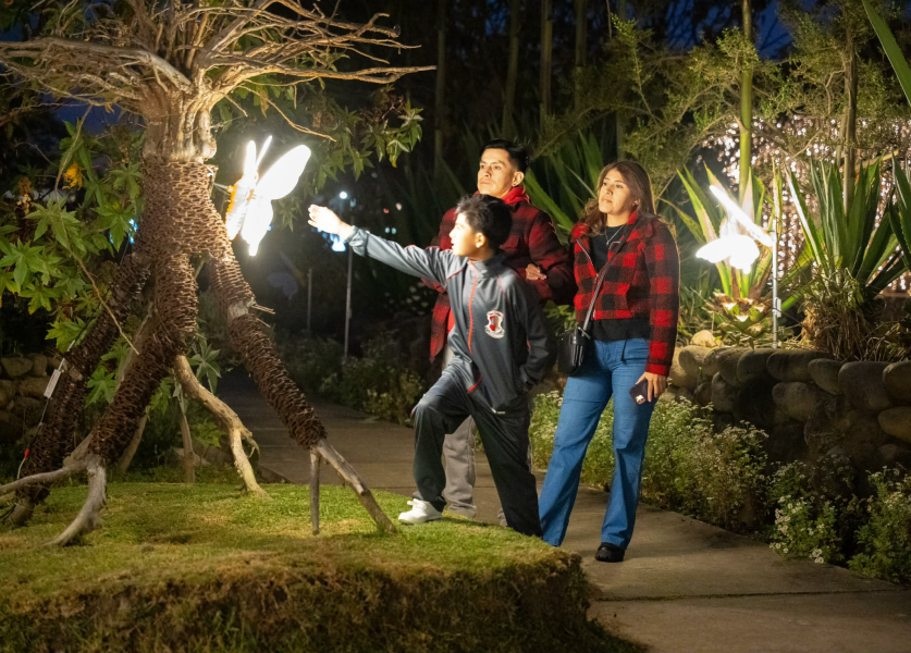 ENCENDIDO NAVIDEÑO – JARDÍN DE LUCES” EN EL JARDÍN BOTÁNICO DE CUENCA