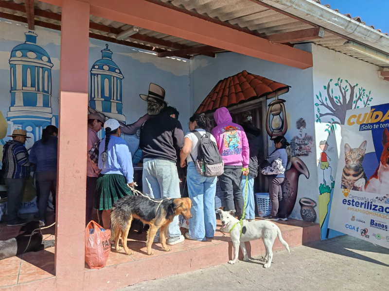 Más de 2.100 esterilizaciones fortalecen el bienestar animal en Cuenca