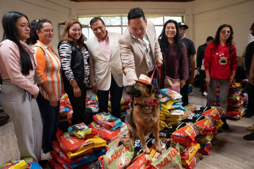 Alcaldía de Cuenca entregó una tonelada de alimento para mascotas a organizaciones y fundaciones animalistas