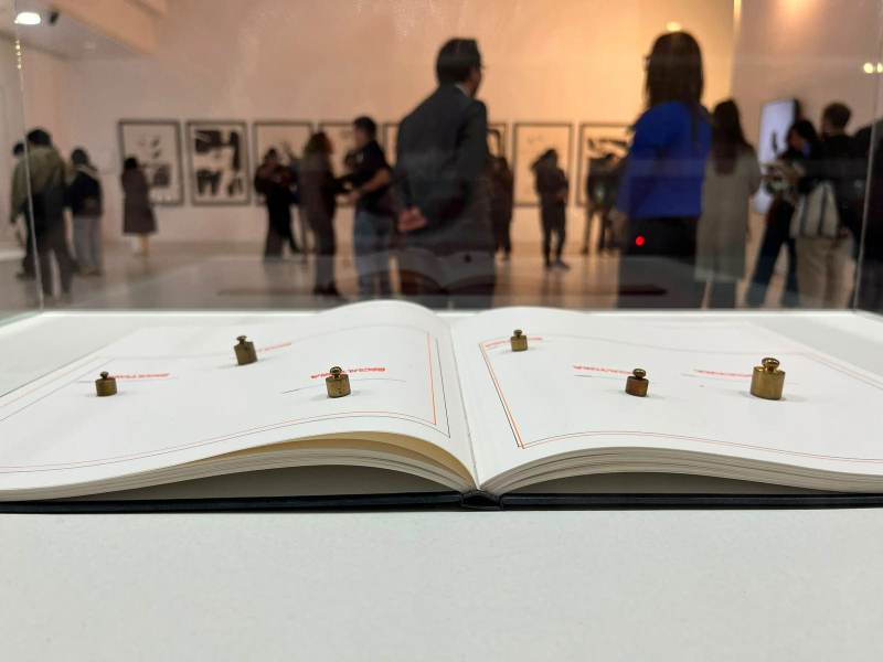 La Fundación Municipal Bienal de Cuenca inauguró la muestra " DES – OCULTAMIENTOS - Lichtzwang Aletheia