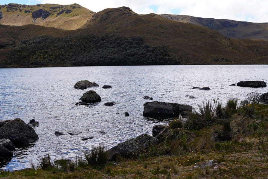 La Fundación Municipal Turismo para Cuenca desarrolló con éxito la primera Ruta Ecoturística – Faldas de Kimsacocha, Estrellacocha, un recorrido que permitió a la ciudadanía reflexionar sobre la importancia del agua, los páramos y la biodiversidad como patrimonio natural del Cantón, en coherencia con la visión del alcalde de Cuenca, Cristian Zamora de consolidar un turismo sostenible y responsable.