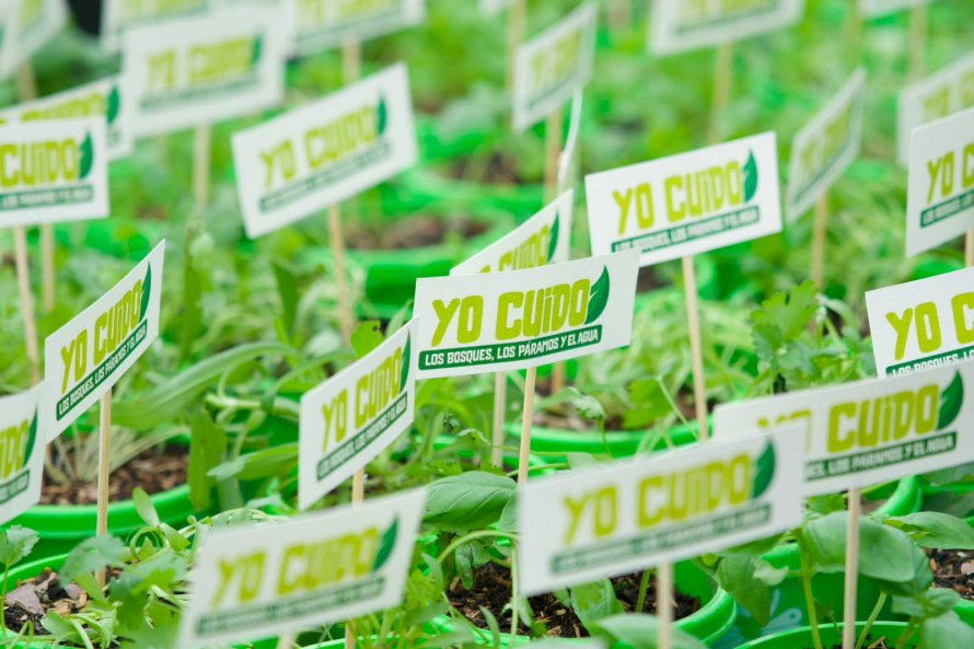 Campaña “Yo cuido los bosques, el páramo y el agua” busca prevenir incendios en la época de sequía