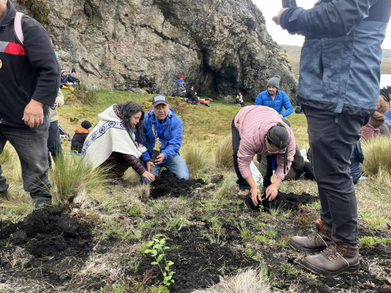 Cuenca, Azuay – Más de 300 participantes se dieron cita ayer en Quimsacocha para una jornada de restauración ecológica y concientización ambiental, reafirmando la importancia de este ecosistema para la regulación hídrica y la biodiversidad del cantón Cuenca.